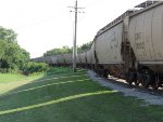 Grain cars on siding at Grain Elevator looking South